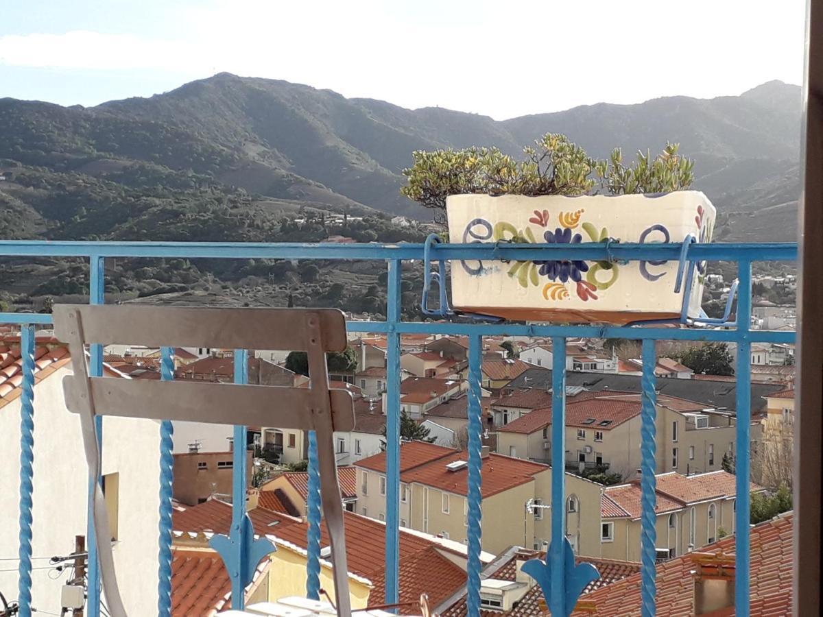 Banyuls La Grande Bleue : Studio T1 ภายนอก รูปภาพ