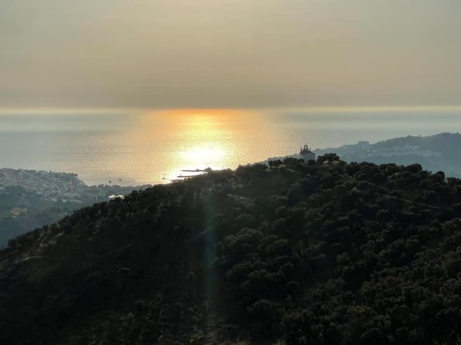 Banyuls La Grande Bleue : Studio T1 ภายนอก รูปภาพ